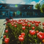 Митинг в МТБЦ