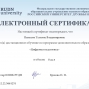 Педагогические достижения Панасюк Т.В.