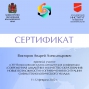 Участие в конференции Викторова А.А.