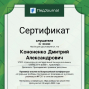 Педагогические достижения Кононенко Д.А.
