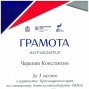 Спортивные достижения Черепина Константина