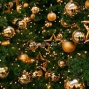 НОВОГОДНИЙ ФЛЭШМОБ!