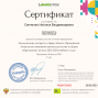 Педагогические достижения Сенченко Н.В.