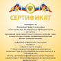 Проектная форма обучения Панасюк Т.В.