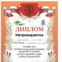 Спортивные достижения Цыганкова Никиты