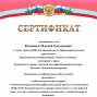 Публикации студентов в рамках участия в межпредметных проектах и победа в Международной олимпиаде под руководством Панасюк Т.В.