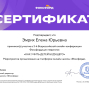 Педагогические достижения Эмрих Е.Ю.