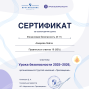 Урок безопасности при организации Евтягиной Н.Д.