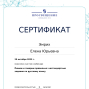 Педагогические достижения Эмрих Е.Ю.