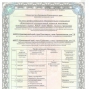 Новые специальности