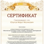 Достижения педагога
