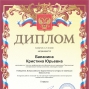 Педагогические достижения