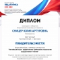 Педагогические достижения Сницер Ю.А.