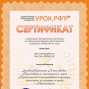 Педагогические достижения Зыковой К.В.